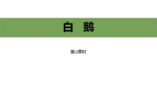 《白鹅》PPT教学课件(第2课时)