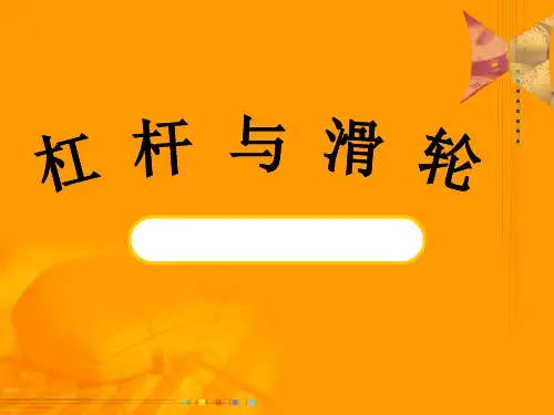 中考物理复习杠杆和滑轮PPT课件