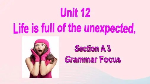 英语九年级全册Unit12SectionAgrammarfocus教学课件 人教新目标版