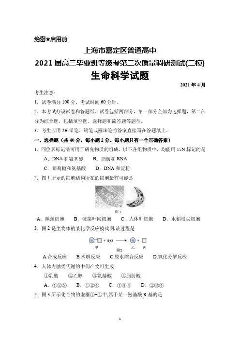2021年4月上海市嘉定区普通高中2021届高三毕业班等级考第二次质量调研测试(二模)生物试题及答案