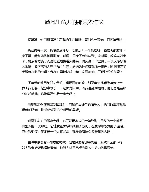 感恩生命力的那束光作文