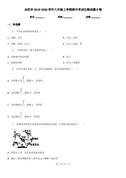 合肥市2019-2020学年八年级上学期期中考试生物试题B卷