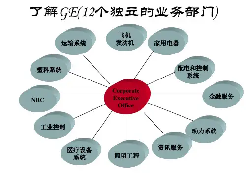 通用电气公司的人力资源管理组织体系