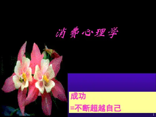消费心理学入门课件