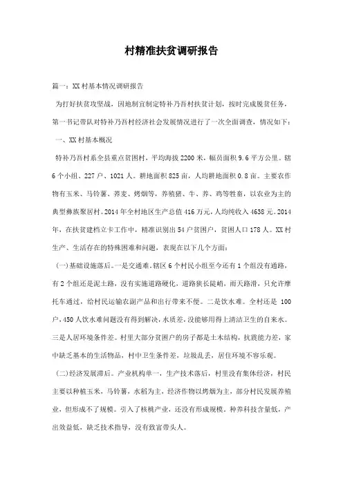 村精准扶贫调研报告