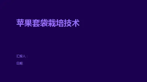 苹果套袋栽培技术