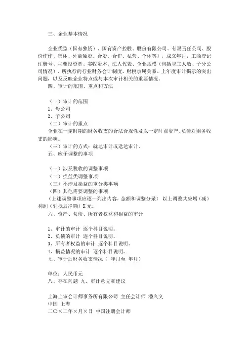 财务收支审计报告模板