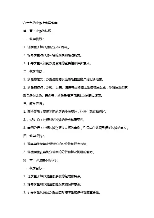 在金色的沙滩上教学教案