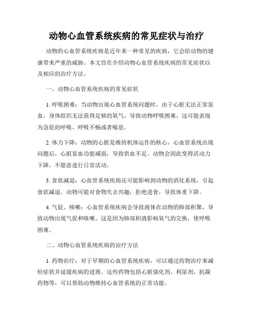 动物心血管系统疾病的常见症状与治疗