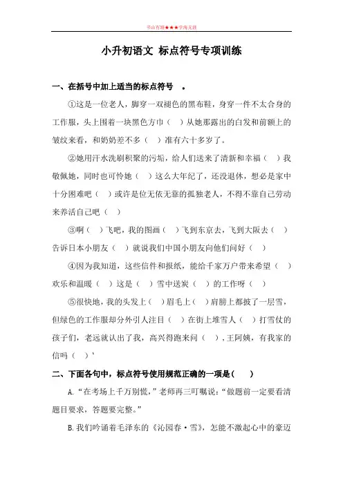 六年级下语文试题-小升初语文总复习标点符号专题训练 2  含答案  全国通用
