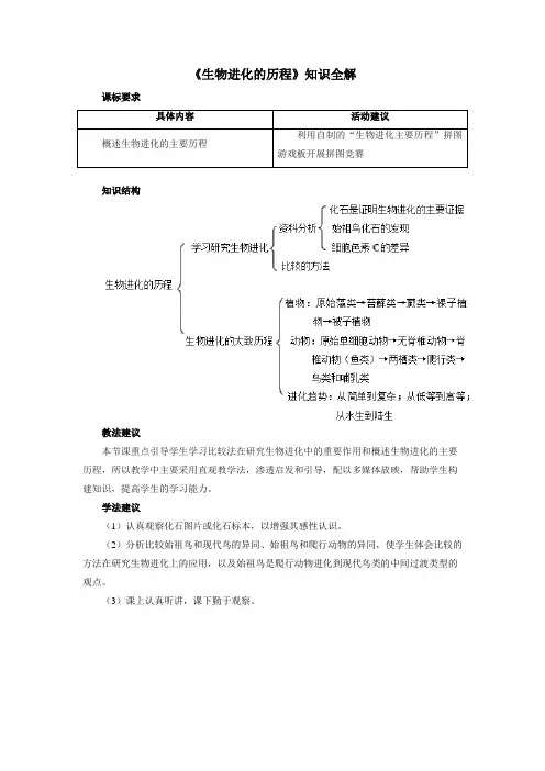 人教版八年级生物下册《生物进化的历程》知识全解