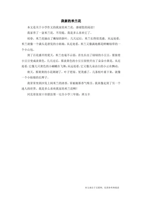 我家的米兰花_小学作文