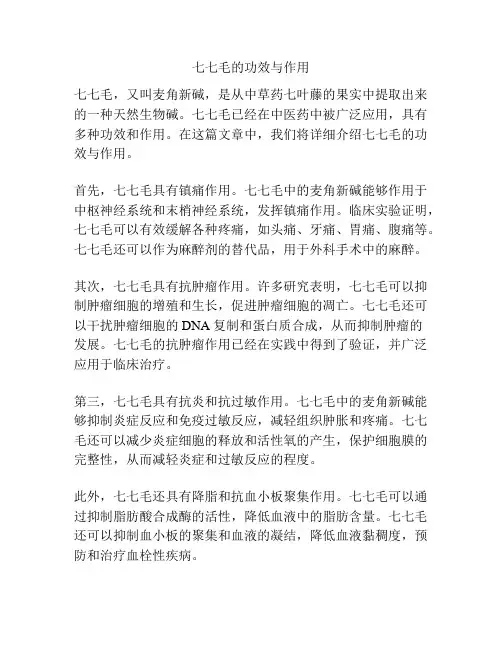 七七毛的功效与作用