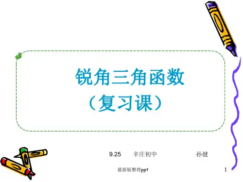 锐角三角函数复习课ppt课件