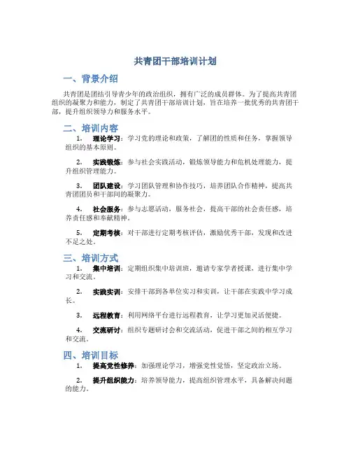 共青团干部培训计划