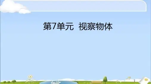 苏教版数学二上观察物体课件(共21张)