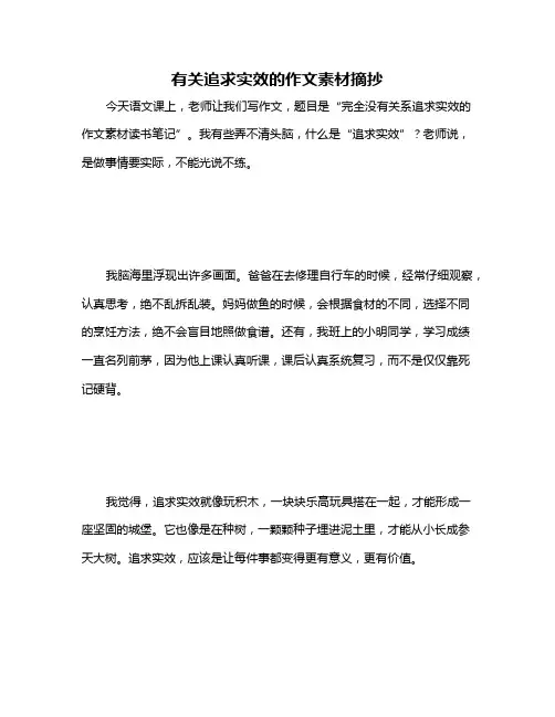 有关追求实效的作文素材摘抄