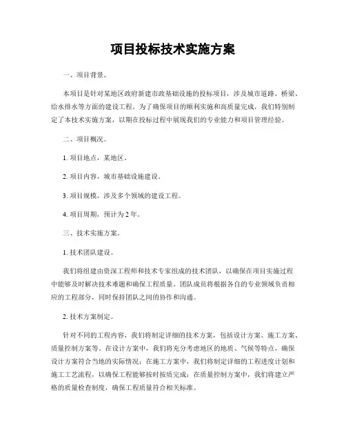 项目投标技术实施方案