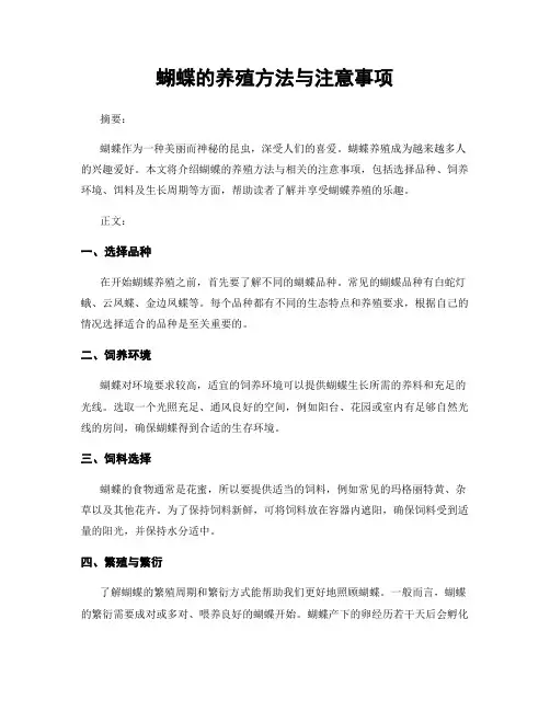 蝴蝶的养殖方法与注意事项