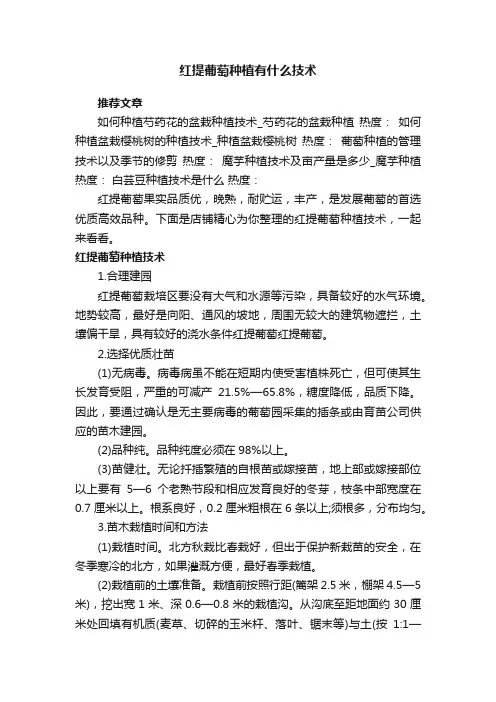 红提葡萄种植有什么技术