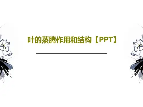 叶的蒸腾作用和结构【PPT】28页PPT