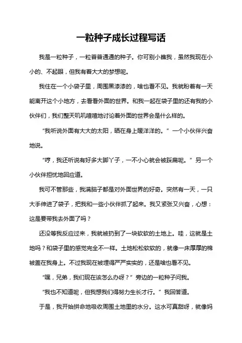 一粒种子成长过程写话