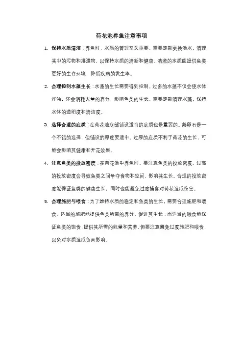 荷花池养鱼注意事项