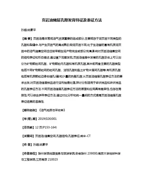 页岩油储层孔隙发育特征及表征方法