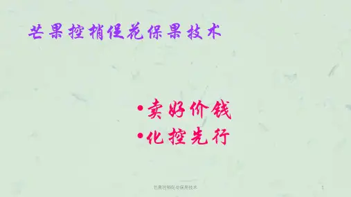 芒果控梢促花保果技术课件