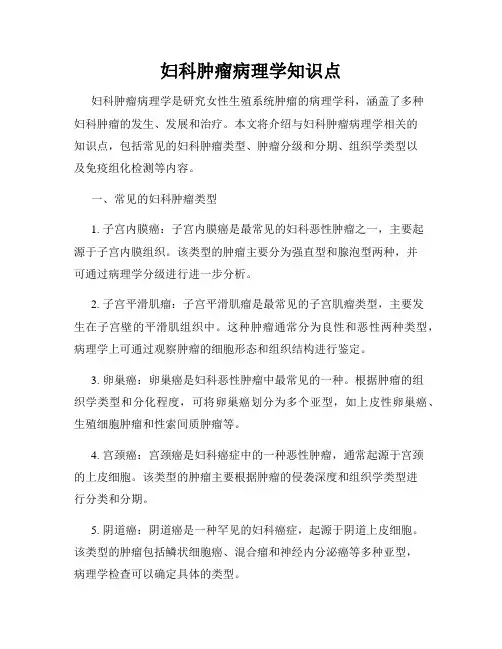 妇科肿瘤病理学知识点
