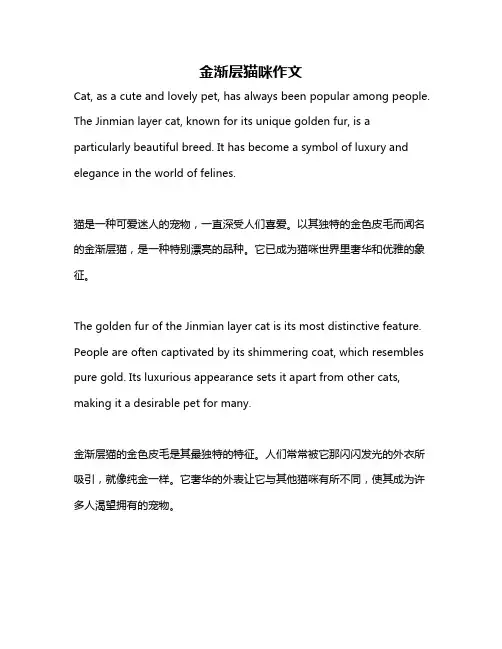 金渐层猫咪作文