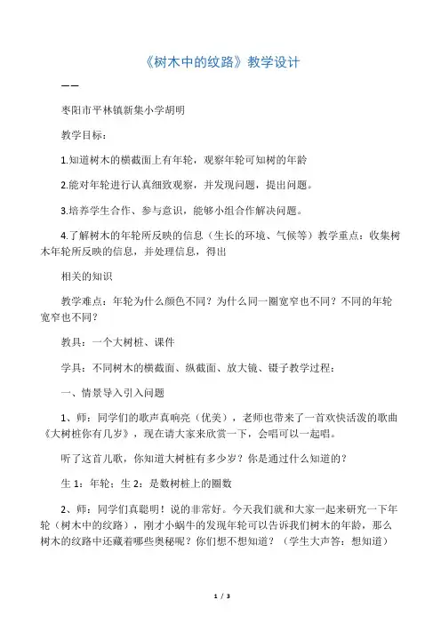 树木的纹路