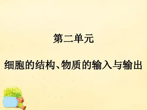 高考生物一轮复习-第二单元 细胞结构、物质的输入与输出 第1讲 细胞膜(含流动镶嵌模型)与细胞核课件