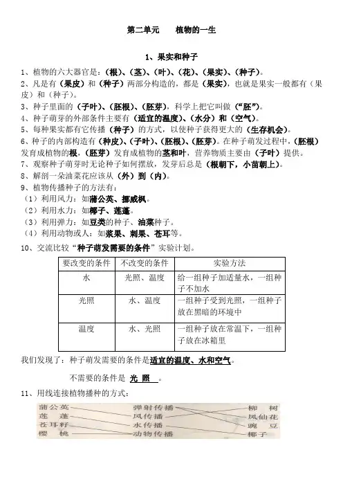 苏教版三年级下册科学第二单元《植物的一生》