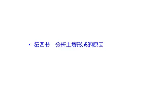 鲁教版高中地理必修第一册课件第三单元第四节分析土壤形成的原因