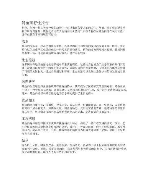 鳄鱼可行性报告