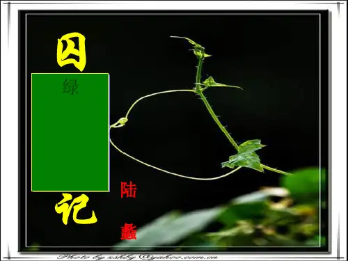 囚绿记 ppt课件完美版