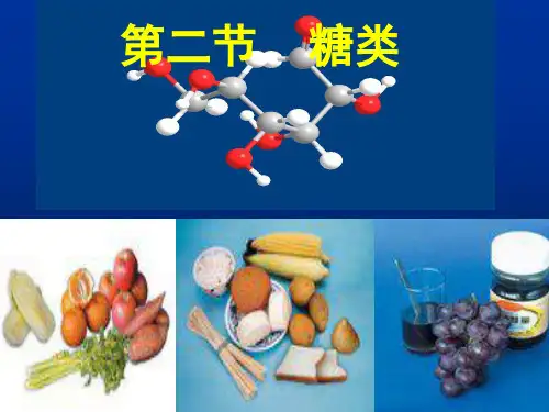 人教版化学《糖类》课件完美版