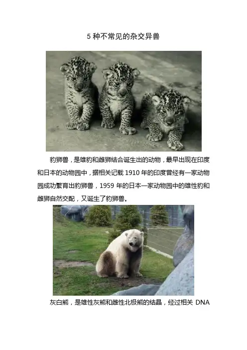 5种不常见的杂交异兽