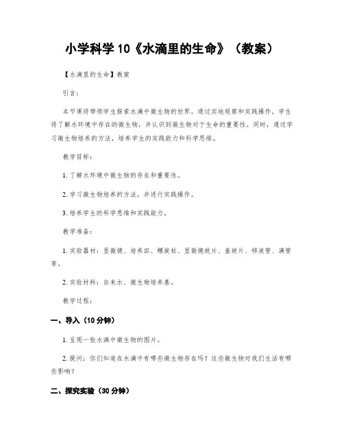 小学科学10《水滴里的生命》(教案)