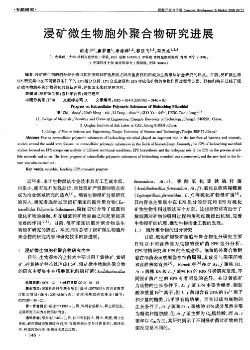 浸矿微生物胞外聚合物研究进展