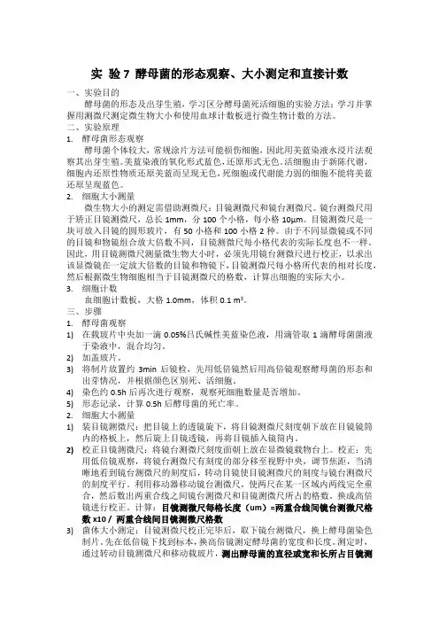 实 验7 酵母菌的形态观察