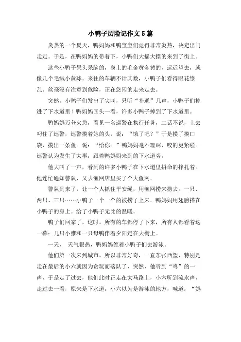 小鸭子历险记作文5篇