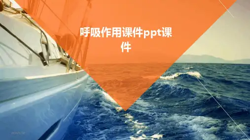 呼吸作用课件ppt课件(2024)