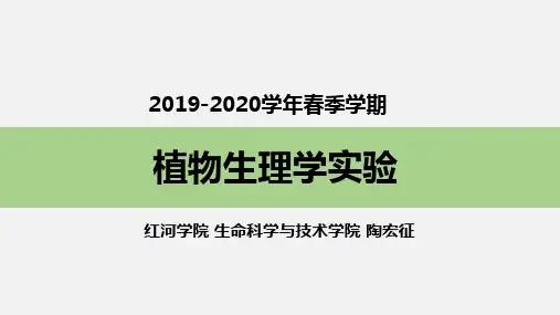 《植物生理学实验》实验02 叶绿体色素的提取、分离及理化性质的鉴定