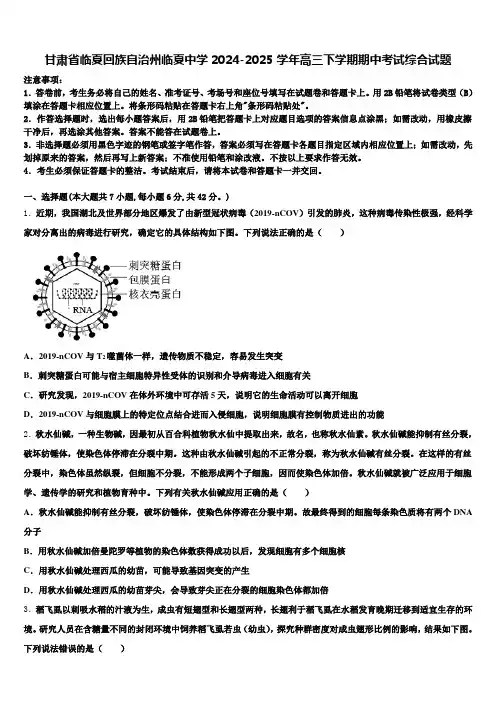 甘肃省临夏回族自治州临夏中学2024-2025学年高三下学期期中考试综合试题含解析
