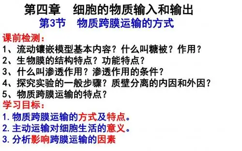人教版高一生物上册第四章第三节物质跨膜运输的方式 (共28张PPT)