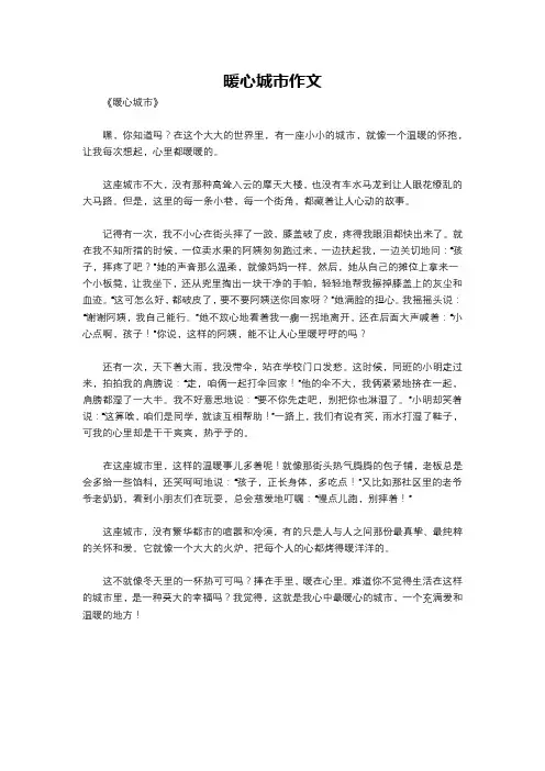 暖心城市作文