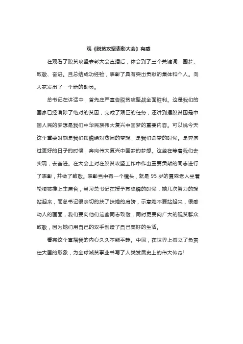 扶贫表彰大会视频观后感