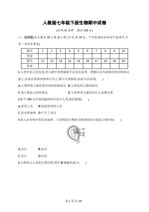 人教版七年级下册生物期中试卷(含答案)